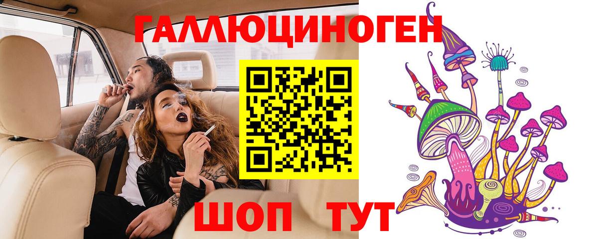 Тимашёвск  купить закладку  Вход с VPN  Галлюциногенные грибы Cubensis 