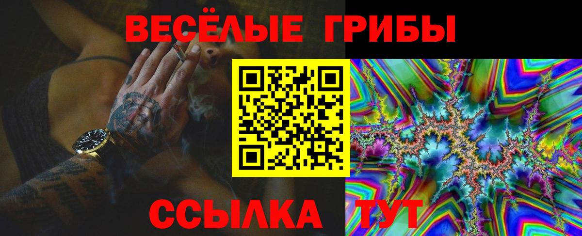 Галлюциногенные грибы Psilocybe Тимашёвск